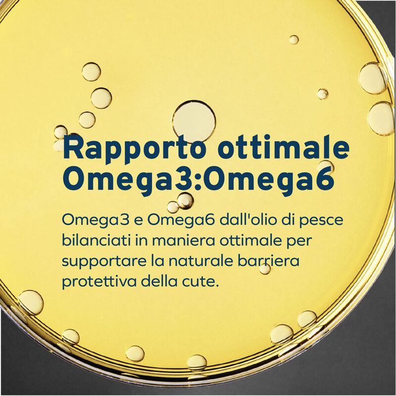 Forza 10 Active Vet Diet Renal per Gatti Adulti al Pesce 1,5 kg
