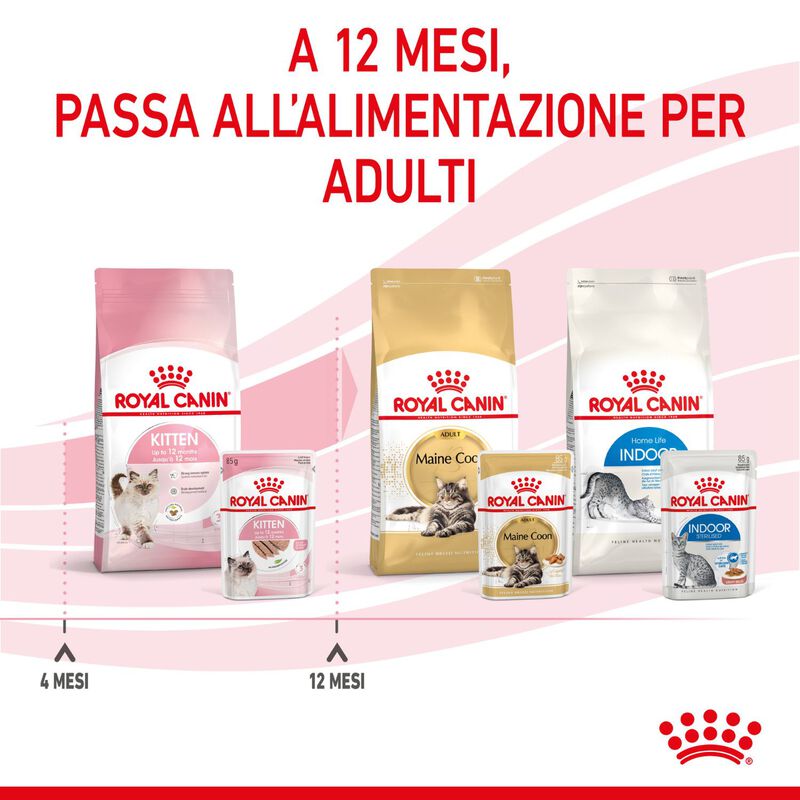 Royal Canin Cat Kitten Loaf  85 gr