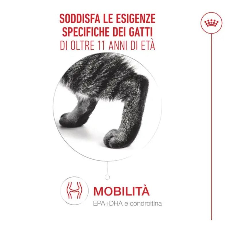 Royal Canin Cat Senior Ageing +11 anni 4 kg