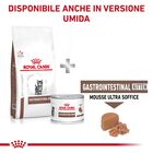 Royal Canin Veterinary Diet Cat Kitten Gastrointestinal 2 kg