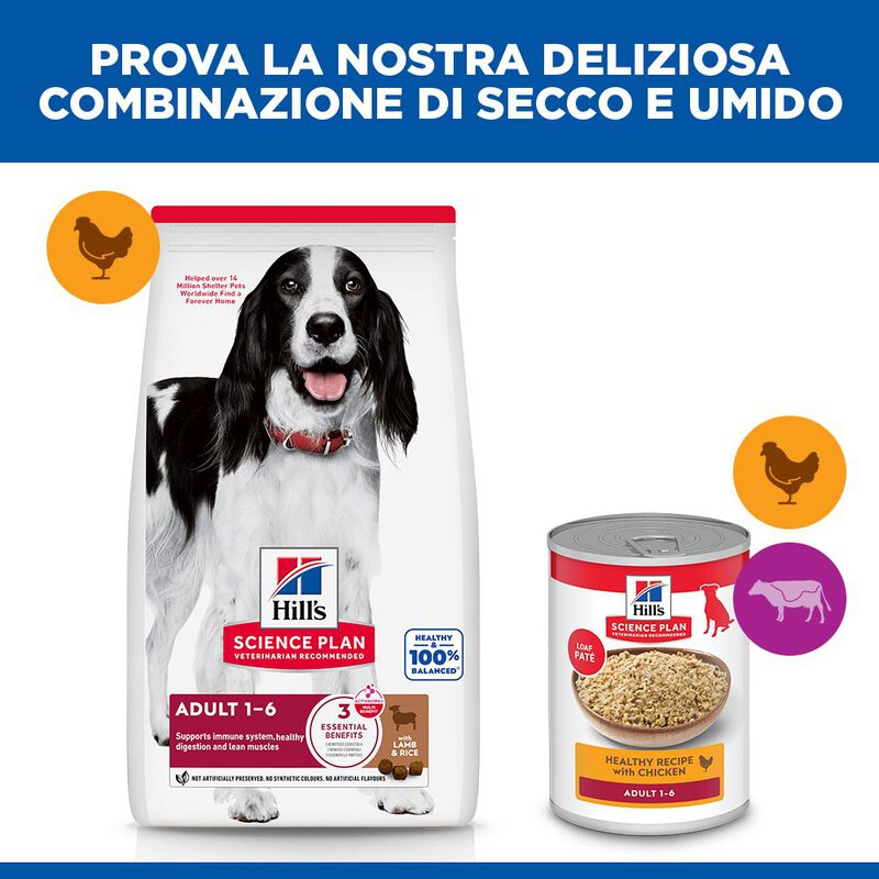 Hill's Science Plan Dog Medium Adult con Agnello e Riso 18 kg