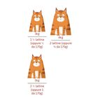 Petreet Cat Tortino Tonno con riso 2 x 170 gr
