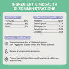 Schesir Cat Adult Tonnetto con Cernia in jelly 70 gr