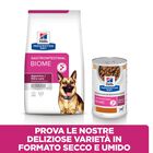 Hill's Prescription Diet Dog Gastrointestinal Biome con Pollo 10 kg