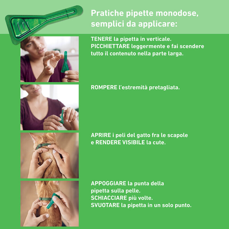 Frontline Combo Spot-On per Gatti e furetti 6 pz