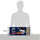 Felix Cat Sfilaccetti Rustici Manzo Pollo Anatra e tacchino 44 pz x 80 gr