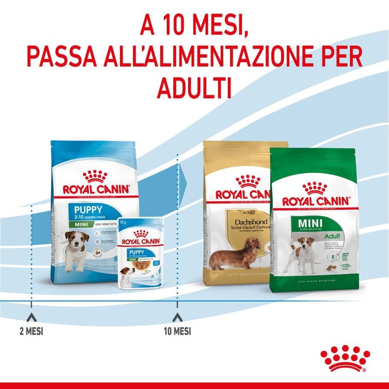 Royal Canin Dog Mini Puppy 800 gr