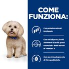 Hill's Prescription Diet Dog z/d Mini 6 kg