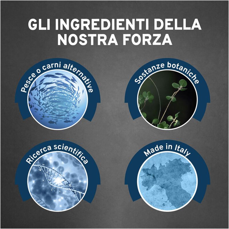 Forza 10 Active Vet Diet Renal per Gatti Adulti al Pesce 1,5 kg