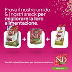 N&D Farmina Quinoa Skin & Coat Dog Adult Medium & Maxi con Anatra 2,5 kg