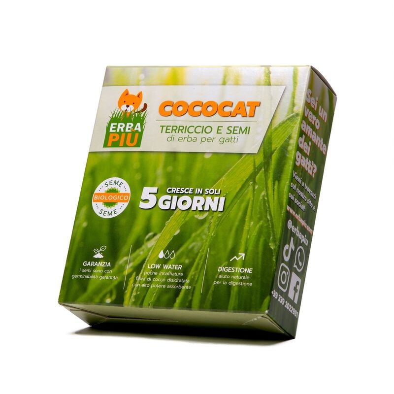 Erba per gatti Cococat Erbapi&ugrave;