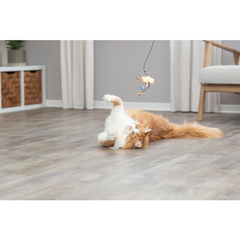 Trixie Canna da pesca per gatti con Stella