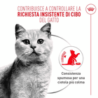 Royal Canin Cat Adult Appetite Control Airlift Mousse 85gr
