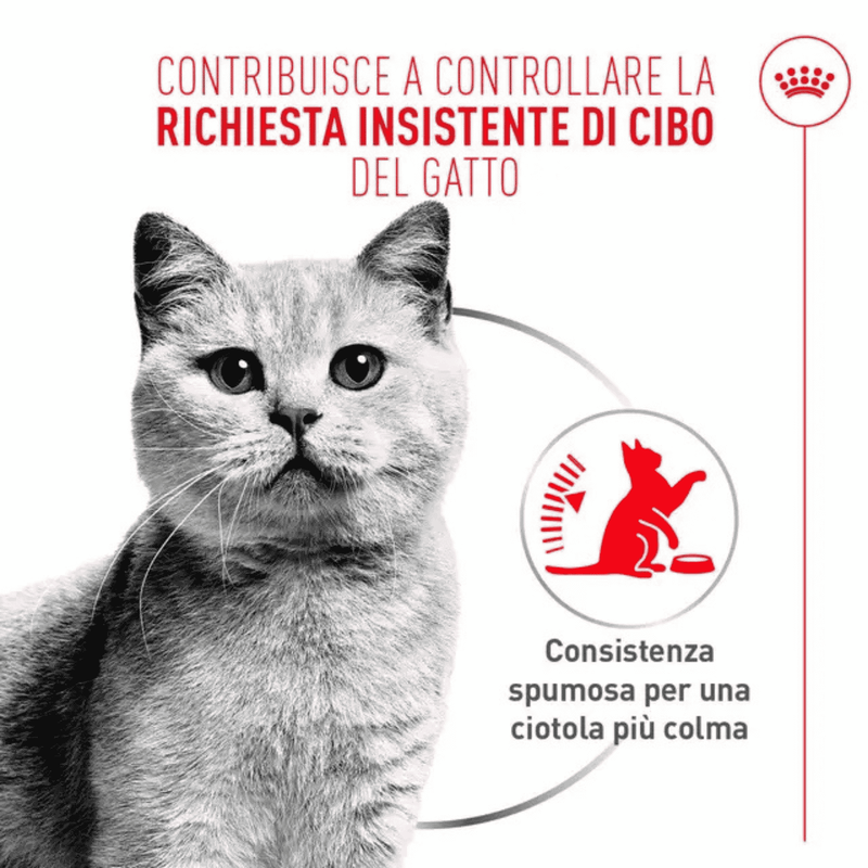 Royal Canin Cat Adult Appetite Control Airlift Mousse 85gr