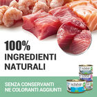 Schesir Cat Tonnetto in brodo 70 gr