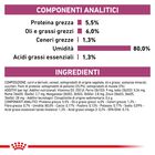 Royal Canin Veterinary Diet Dog Early Renal 12x100 gr
