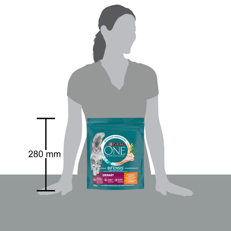 Purina One Bifensis Cat Urinary Pollo e Frumento 800 gr