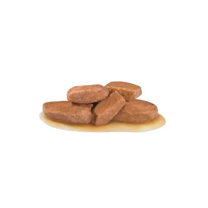 Royal Canin Veterinary Diet Dog Urinary S/O 12x100 gr