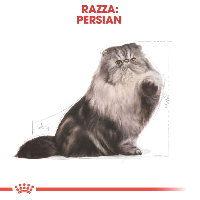 Royal Canin Cat Adult Persian 400 gr