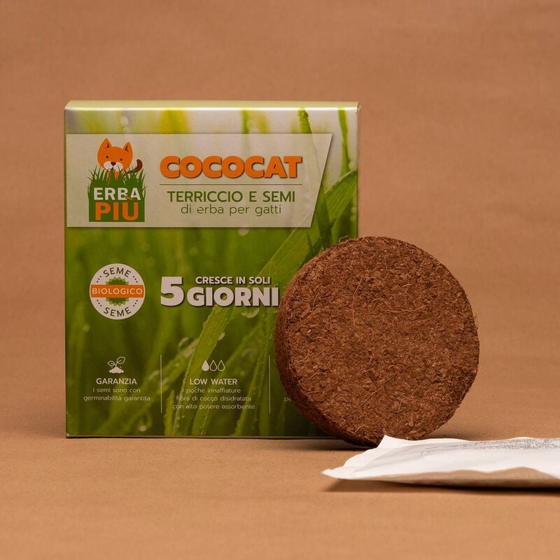 Erba per gatti Cococat Erbapi&ugrave;