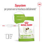 Royal Canin Dog Adult X-Small 500 gr