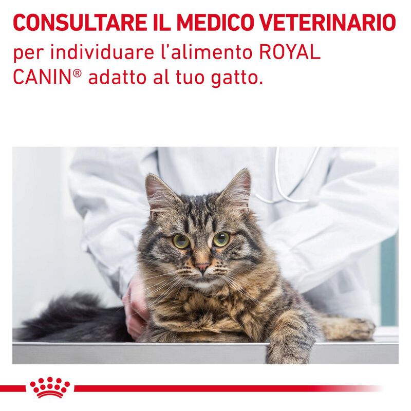 Royal Canin Veterinary Diet Cat Fiber Response 400 gr