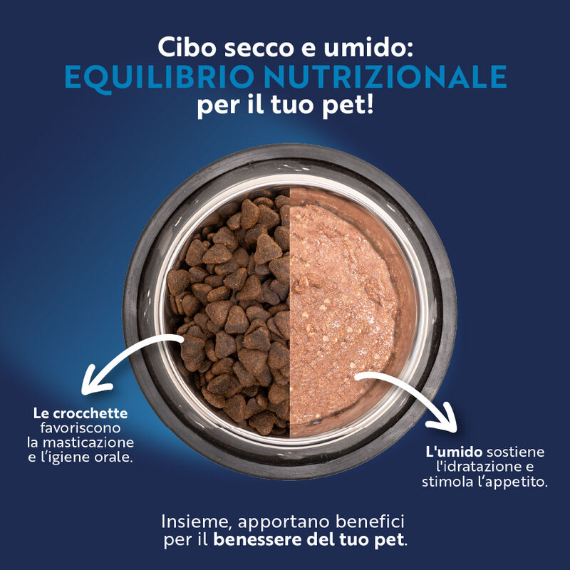Monopro Dog Adult Mini Grain free Maiale 2 kg