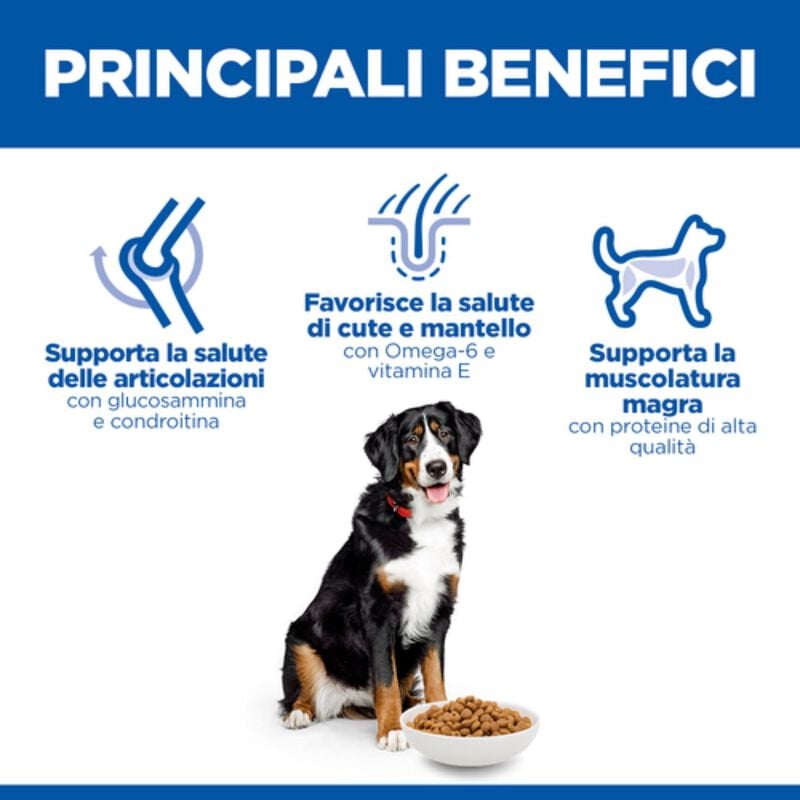Hill's Science Plan Dog Large Breed Adult al Pollo 14 kg