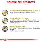 Royal Canin Veterinary Diet Dog Adult Urinary S/O in morbido pat&egrave; 410 gr