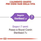 Royal Canin Cat Adult Sterilised 37 10 kg