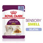 Royal Canin Cat Adult Sensory Smell Jelly 85 gr
