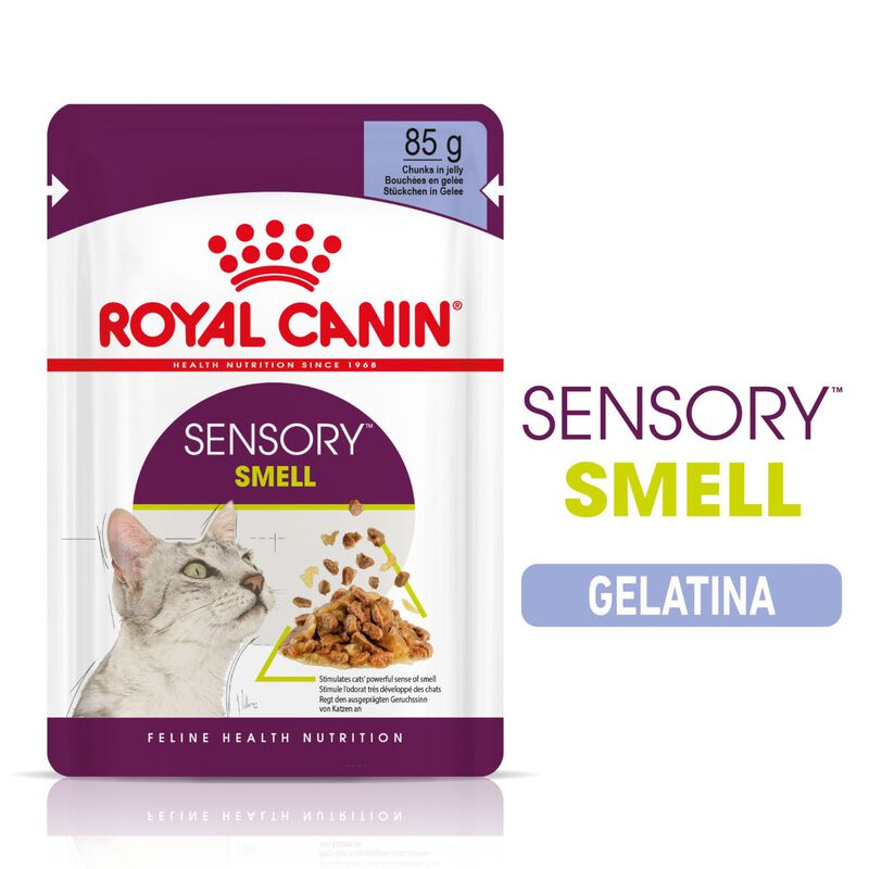 Royal Canin Cat Adult Sensory Smell Jelly 85 gr
