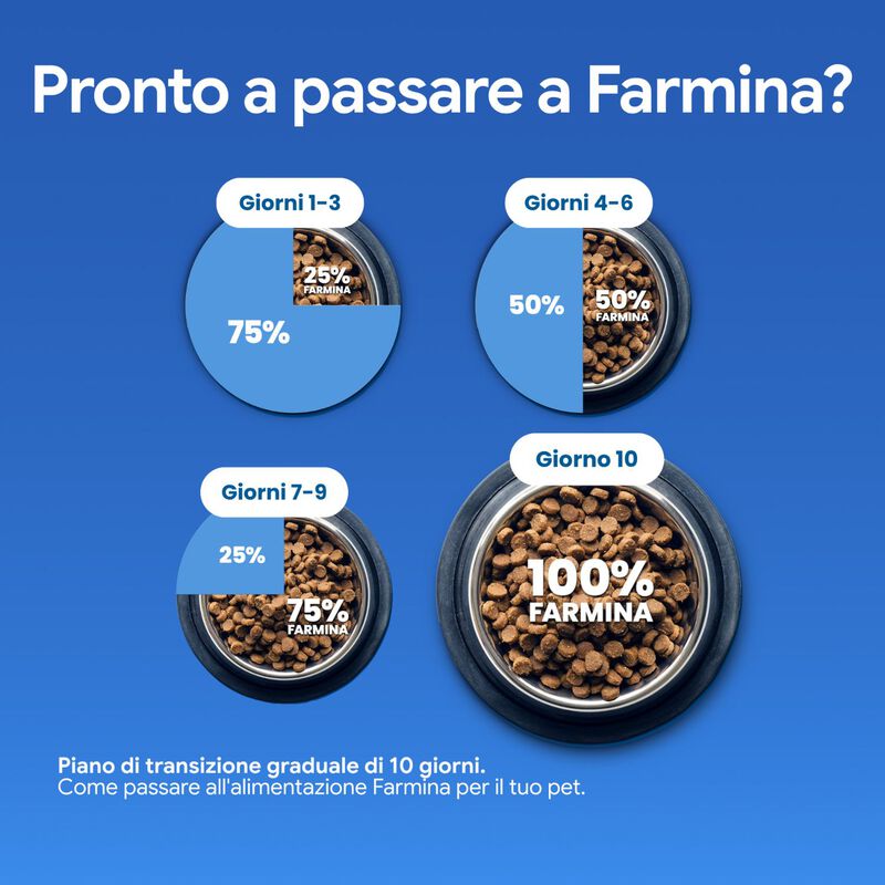 N&D Farmina Prime Dog Adult Medium & Maxi Agnello & Mirtillo 12 kg