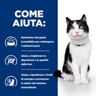 Hill's Prescription Diet Cat i/d Digestive Care al Pollo 3 kg