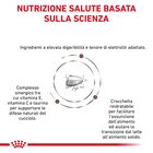Royal Canin Veterinary Diet Dog Puppy Gastrointestinal 10 kg