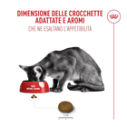 Royal Canin Cat Fussy Exigent 2kg