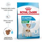Royal Canin Dog Mini Starter 1 kg