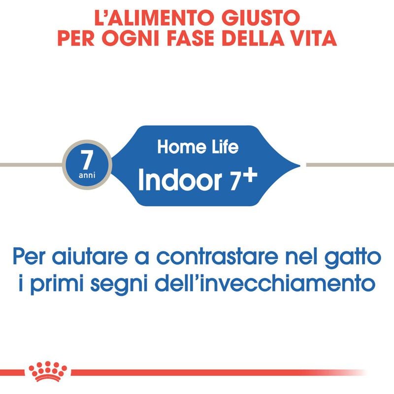 Royal Canin Cat Senior Indoor +7 anni 400 gr