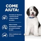 Hill's Prescription Diet Dog c/d Multicare Urinary Care 12 kg