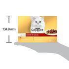 Gourmet Gold Cat Adult Dadini in Salsa con Manzo, Salmone e Pollo, Tacchino e Anatra, Pollo e Fegato 12x85 gr