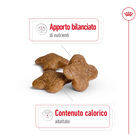 Royal Canin Dog Mini Adult e Senior +8 anni 800 gr