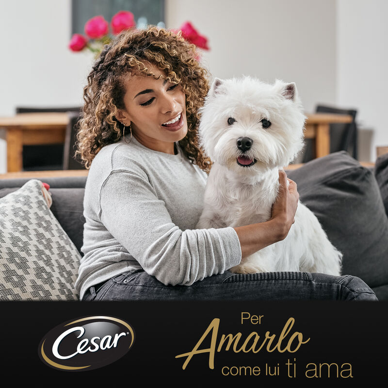 Cesar Dog Ricette di Campagna con Manzo Pasta e Carote 150 gr