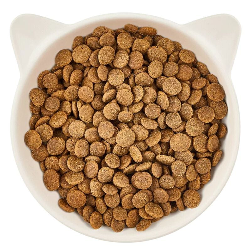 Wow Cat Adult Pollo con Erba Gatta 325 gr
