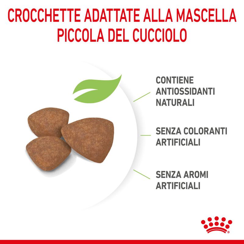 Royal Canin Dog Puppy X-Small 500 gr
