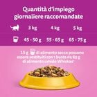 Whiskas Cat Adult Croccantini con Pollo 300 gr