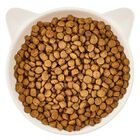 Wow Cat Kitten con Pollame e Carote 2 kg