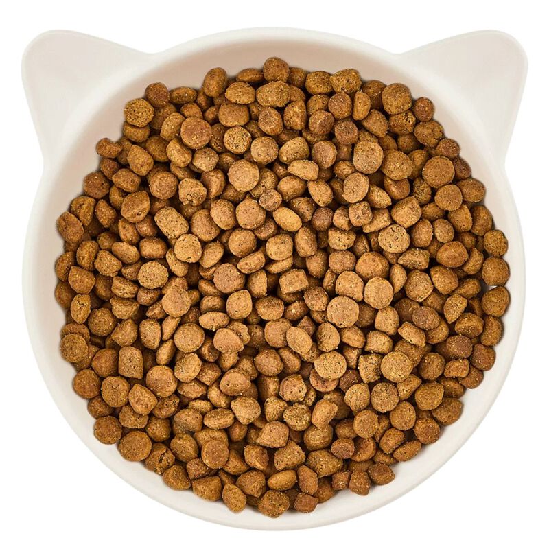 Wow Cat Kitten con Pollame e Carote 2 kg