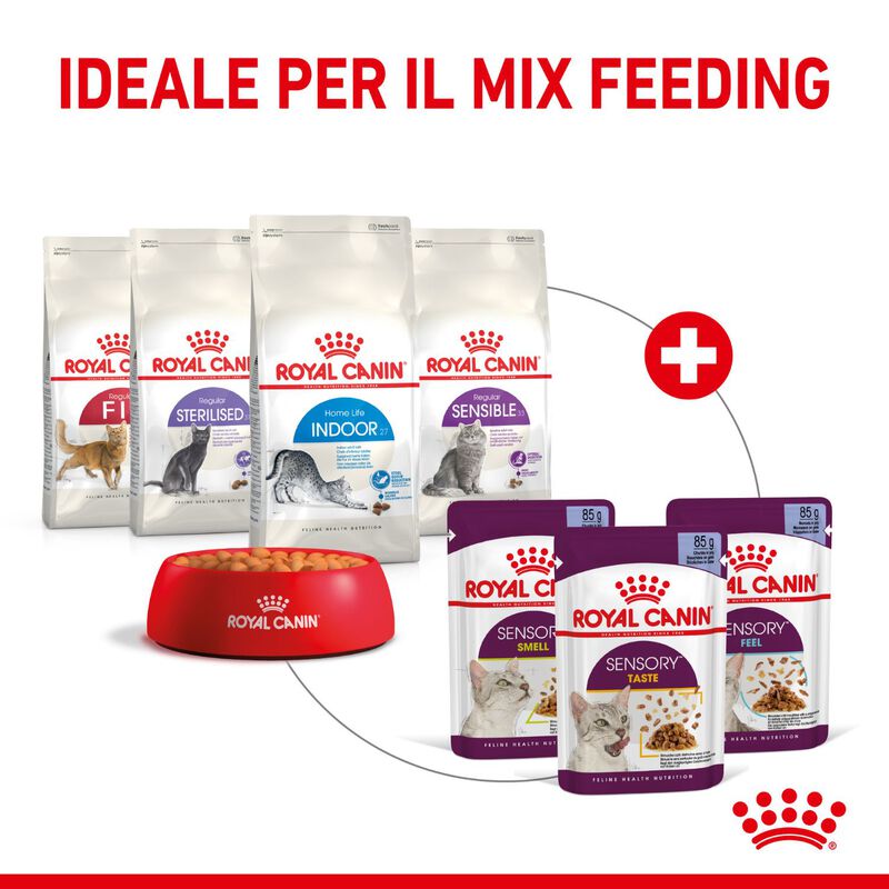 Royal Canin Cat Adult Sensory Smell Jelly 85 gr