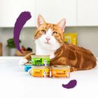 Edgard & Cooper Cat Adult Bocconcini in Salsa Salmone e Pollo 85 gr