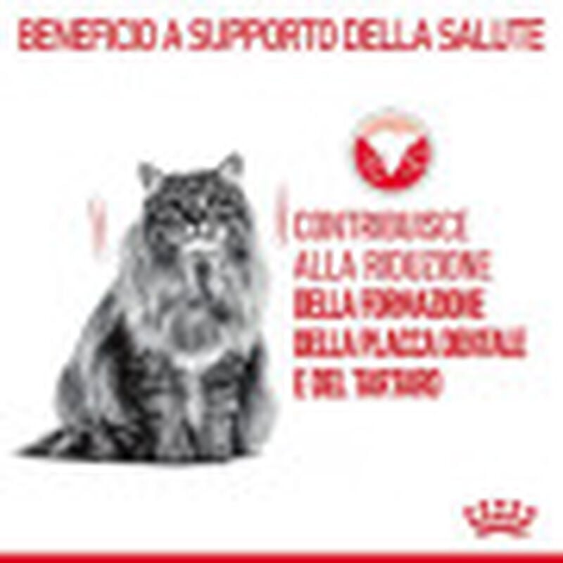 Royal Canin Cat Adult Oral Care 1,5 kg